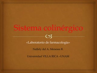 «Laboratorio de farmacología» 
Nallely del A. Meneses R. 
Universidad VILLA RICA –UNAM 
 