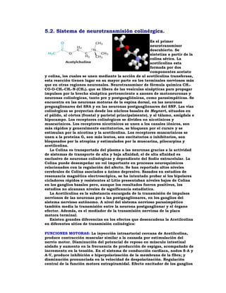 5.2. Sistema de neurotransmisión colinérgica.
                                                          Es el primer
                                                          neurotransmisor
                                                          descubierto. Se
                                                          sintetiza a partir de la
                                                          colina sérica. La
                                                          acetilcolina esta
                                                          formada por dos
                                                          componentes acetato
y colina, los cuales se unen mediante la acción de al acetilcolina transferasa,
esta reacción tienen lugar en su mayor parte en los terminales nerviosos más
que en otras regiones neuronales. Neurotransmisor de fórmula química CH 3-
CO-O-CH2-CH2-N-(CH3)3 que se libera de las vesículas sinápticas para propagar
impulsos por la brecha sináptica perteneciente a axones de motoneuronas y
neuronas colinérgicas, tanto pre y postgangliónicas, como parasimpáticas. Se
encuentra en las neuronas motoras de la espina dorsal, en las neuronas
preganglionares del SNA y en las neuronas postganglionares del SNP. Las vías
colinérgicas se proyectan desde los núcleos basales de Meynert, situados en
el pálido, al córtex (frontal y parietal principalmente), y al tálamo, amígdala e
hipocampo. Los receptores colinérgicos se dividen en nicotínicos y
muscarínicos. Los receptores nicotínicos se unen a los canales iónicos, son
más rápidos y generalmente excitatorios, se bloquean por el curare y se
estimulan por la nicotina y la acetilcolina. Los receptores muscarínicos se
unen a la proteína G, son más lentos, son excitatorios o inhibitorios, son
bloqueados por la atropina y estimulados por la muscarina, pilocarpina y
acetilcolina.
   La Colina es transportada del plasma a las neuronas gracias a la actividad
de sistemas de transporte de alta y baja afinidad; el de alta afinidad es
exclusivo de neuronas colinérgicas y dependiente del Sodio extracelular. La
Colina puede desempeñar un rol importante en procesos neuroquímicos
relacionados con la regulación del afecto. Se han reportado altos niveles
cerebrales de Colina asociados a ánimo depresivo. Basados en estudios de
resonancia magnética electroscópica, se ha intentado probar si los bipolares
cicladores rápidos y resistentes al Litio presentaban niveles bajos de Colina
en los ganglios basales pero, aunque los resultados fueron positivos, los
estudios no alcanzan niveles de significancia estadística.
   La Acetilcolina es la substancia encargada de la transmisión de impulsos
nerviosos de las neuronas pre a las postganglionares, en los ganglios del
sistema nervioso autónomo. A nivel del sistema nervioso parasimpático
también media la transmisión entre la neurona postganglionar y el órgano
efector. Además, es el mediador de la transmisión nerviosa de la placa
motora terminal.
   Existen grandes diferencias en los efectos que desencadena la Acetilcolina
en diferentes sitios de transmisión colinérgica:

FUNCIONES MOTORAS: La inyección intraarterial cercana de Acetilcolina,
produce contracción muscular similar a la causada por estimulación del
nervio motor. Disminución del potencial de reposo en músculo intestinal
aislado y aumento en la frecuencia de producción de espigas, acompañado de
incremento en la tensión. En el sistema de conducción cardíaca, nodos S-A y
A-V, produce inhibición e hiperpolarización de la membrana de la fibra; y
disminución pronunciada en la velocidad de despolarización. Regulación
central de la función motora extrapiramidal. Efecto excitador de los ganglios
 