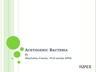 ACETOGENIC BACTERIA
By
Okechukwu Francis, Ph.D scholar UPES
 