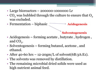 • Large bioreactors – 200000-1000000 Lr
• CO2 was bubbled through the culture to ensure that O2
was excluded.
• Fermentation – biphasic Acidogenesis
Solventogenenis
• Acidogenesis – forming acetate , butyrate , hydrogen ,
and CO2.
• Solventogenesis – forming butanol, acetone , and
ethanol.
• After 40-60 hrs – 12-20gm/L of solvent(6B:3A:E1).
• The solvents was removed by distillation.
• The remaining microbial dried solids were used as
high nutrient animal feed.
 