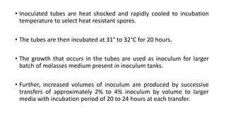 • Inoculated tubes are heat shocked and rapidly cooled to incubation
temperature to select heat resistant spores.
• The tubes are then incubated at 31° to 32°C for 20 hours.
• The growth that occurs in the tubes are used as inoculum for larger
batch of molasses medium present in inoculum tanks.
• Further, increased volumes of inoculum are produced by successive
transfers of approximately 2% to 4% inoculum by volume to larger
media with incubation period of 20 to 24 hours at each transfer.
 