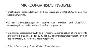 MICROORGANISMS INVOLVED
• Clostridium acetobutylicum and Cl. saccharo-acetobutylicum are the
species involved.
• Cl. saccharo-acetobutylicum requires corn medium and Clostridium
acetobutylicum molasses medium for the growth.
• In general, inoculum growth and fermentative production of the solvents
are carried out at 31° to 32°C for Cl. saccharoacetobutylicum and at
approximately 37°C for Cl. acetobutylicum.
• Enteric Bacteria e.g. Escherichia coli are also used
 