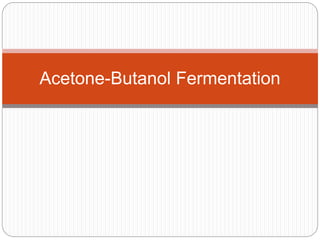 Acetone-Butanol Fermentation
 