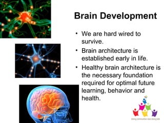 Brain Development
• We are hard wired to
survive.
• Brain architecture is
established early in life.
• Healthy brain archi...