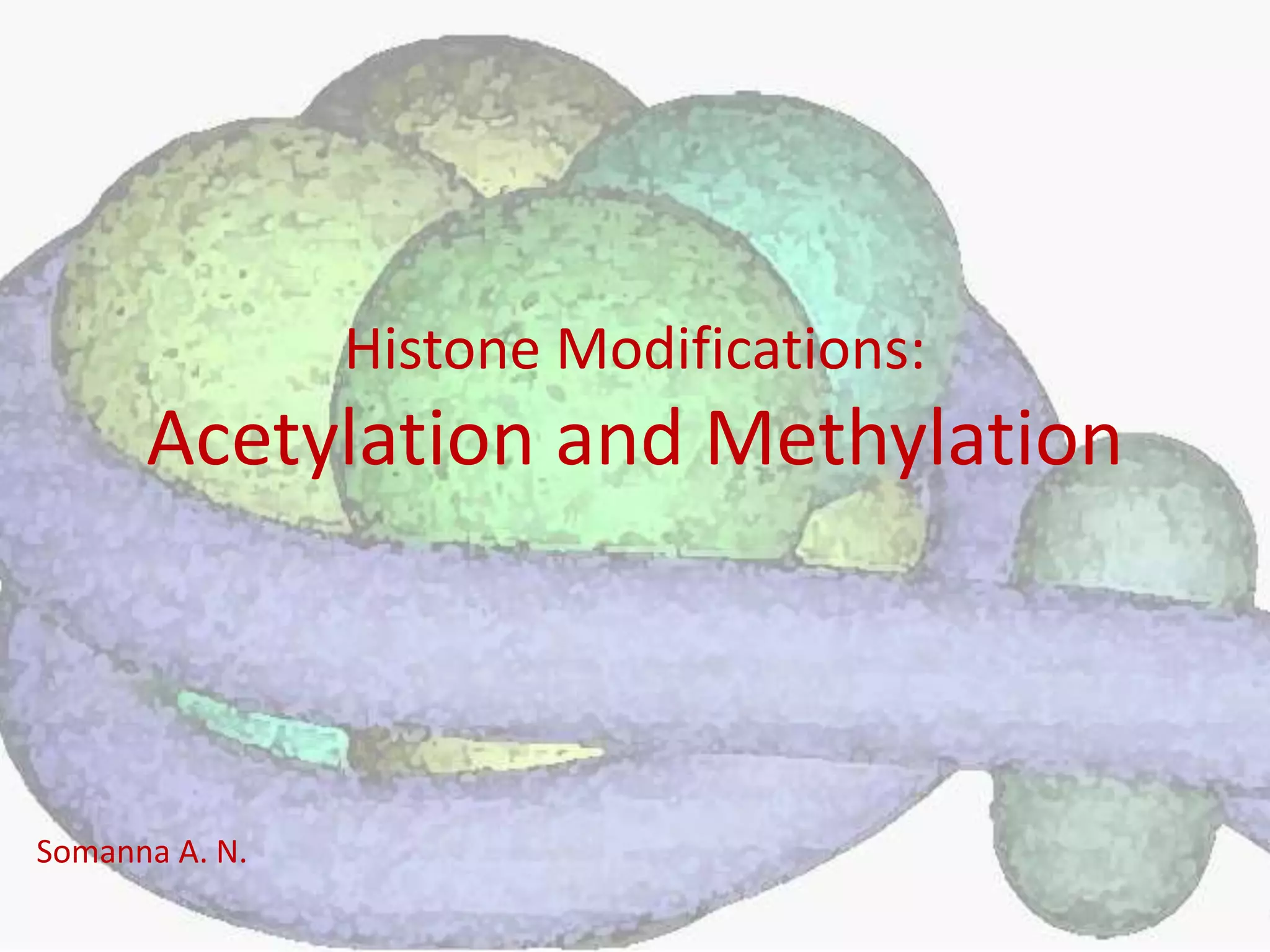 Histone Modification: Acetylation n Methylation | PPTX