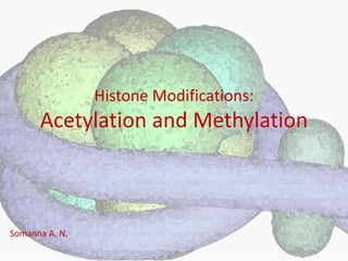 Histone Modifications:
Acetylation and Methylation
Somanna A. N.
 