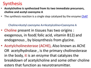 Synthesis
• Acetylcholine is synthesized from its two immediate precursors,
choline and acetyl coenzyme A
• The synthesis reaction is a single step catalyzed by the enzyme ChAT
Choline+Acetyl coenzyme A⇌Acetylcoline+Coenzyme A
• Choline present in tissues has two origins :
exogenous, in food( folic acid, vitamin B12) and
endogenous , by biosynthesis from glycine.
• Acetylcholinesterase (ACHE), Also known as AChE
OR acetylhydrolase , is the primary cholinesterase
in the body, it is an enzyme that catalyzes the
breakdown of acetylcholine and some other choline
esters that function as neurotransmitter.
 