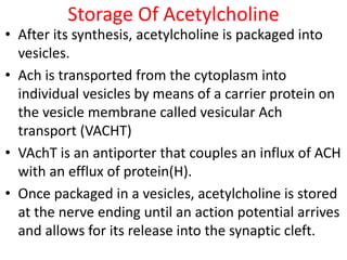 Storage Of Acetylcholine
• After its synthesis, acetylcholine is packaged into
vesicles.
• Ach is transported from the cytoplasm into
individual vesicles by means of a carrier protein on
the vesicle membrane called vesicular Ach
transport (VACHT)
• VAchT is an antiporter that couples an influx of ACH
with an efflux of protein(H).
• Once packaged in a vesicles, acetylcholine is stored
at the nerve ending until an action potential arrives
and allows for its release into the synaptic cleft.
 