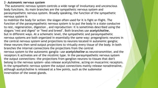 11
2- Autonomic nervous system
The autonomic nervous system controls a wide range of involuntary and unconscious
body functions. Its main branches are the sympathetic nervous system and
parasympathetic nervous system. Broadly speaking, the function of the sympathetic
nervous system is
to mobilize the body for action: the slogan often used for it is fight or-flight. The
function of the parasympathetic nervous system is to put the body in a state conducive
to rest, regeneration, digestion , and reproduction: it is sometimes described using the
slogans "rest and digest" or "feed and breed". Both branches use acetylcholine,
but in different ways. At a schematic level, the sympathetic and parasympathetic
nervous systems are both organized in essentially the same way: preganglionic neurons in
the central nervous system send projections to neurons located in autonomic ganglia;
these neurons then send output projections to virtually every tissue of the body. In both
branches the internal connections the projections from the central
nervous system to the autonomic ganglia—use acetylcholine as neurotransmitter, and the
receptors it activates are of the nicotinic type. In the parasympathetic nervous system
the output connections—the projections from ganglion neurons to tissues that don't
belong to the nervous system—also release acetylcholine, acting on muscarinic receptors.
In the sympathetic nervous system the output connections mainly release noradrenaline,
although acetylcholine is released at a few points, such as the sudomotor
innervation of the sweat glands.
 