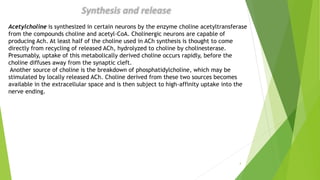 4
Acetylcholine is synthesized in certain neurons by the enzyme choline acetyltransferase
from the compounds choline and acetyl-CoA. Cholinergic neurons are capable of
producing Ach. At least half of the choline used in ACh synthesis is thought to come
directly from recycling of released ACh, hydrolyzed to choline by cholinesterase.
Presumably, uptake of this metabolically derived choline occurs rapidly, before the
choline diffuses away from the synaptic cleft.
Another source of choline is the breakdown of phosphatidylcholine, which may be
stimulated by locally released ACh. Choline derived from these two sources becomes
available in the extracellular space and is then subject to high-affinity uptake into the
nerve ending.
 