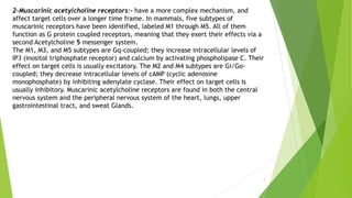 7
2-Muscarinic acetylcholine receptors:- have a more complex mechanism, and
affect target cells over a longer time frame. In mammals, five subtypes of
muscarinic receptors have been identified, labeled M1 through M5. All of them
function as G protein coupled receptors, meaning that they exert their effects via a
second Acetylcholine 5 messenger system.
The M1, M3, and M5 subtypes are Gq-coupled; they increase intracellular levels of
IP3 (inositol triphosphate receptor) and calcium by activating phospholipase C. Their
effect on target cells is usually excitatory. The M2 and M4 subtypes are Gi/Go-
coupled; they decrease intracellular levels of cAMP (cyclic adenosine
monophosphate) by inhibiting adenylate cyclase. Their effect on target cells is
usually inhibitory. Muscarinic acetylcholine receptors are found in both the central
nervous system and the peripheral nervous system of the heart, lungs, upper
gastrointestinal tract, and sweat Glands.
 