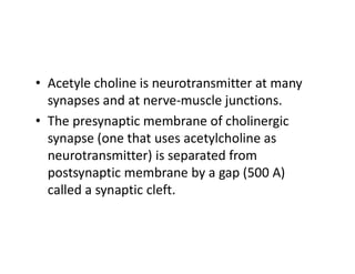 acetylcholine (1).pdf