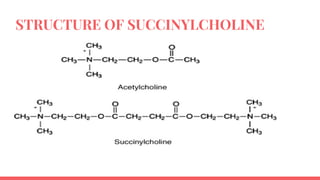 STRUCTURE OF SUCCINYLCHOLINE
 