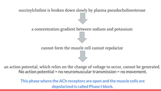 succinylcholine is broken down slowly by plasma pseudocholinesterase
a concentration gradient between sodium and potassium
cannot form the muscle cell cannot repolarize
an action potential, which relies on the change of voltage to occur, cannot be generated.
No action potential = no neuromuscular transmission = no movement.
This phase where the ACh receptors are open and the muscle cells are
depolarized is called Phase I block.
 