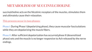 succinylcholine acts on the Nicotinic receptors of the muscles, stimulates them
and ultimately cause their relaxation.
This process occur in two phases:
Phase I: During Phase I (depolarizing phase), they cause muscular fasciculations
while they are depolarizing the muscle fibers.
Phase II: After sufficient depolarization has occurred,phase II (desensitized
phase) sets and the muscle is no longer responsive to Ach released by the nerve
endings.
METABOLISM OF SUCCINYLCHOLINE
 