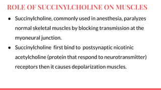 ROLE OF SUCCINYLCHOLINE ON MUSCLES
● Succinylcholine, commonly used in anesthesia, paralyzes
normal skeletal muscles by blocking transmission at the
myoneural junction.
● Succinylcholine first bind to postsynaptic nicotinic
acetylcholine (protein that respond to neurotransmitter)
receptors then it causes depolarization muscles.
 