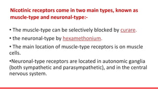 Nicotinic receptors come in two main types, known as
muscle-type and neuronal-type:-
• The muscle-type can be selectively blocked by curare.
• the neuronal-type by hexamethonium.
• The main location of muscle-type receptors is on muscle
cells.
•Neuronal-type receptors are located in autonomic ganglia
(both sympathetic and parasympathetic), and in the central
nervous system.
 