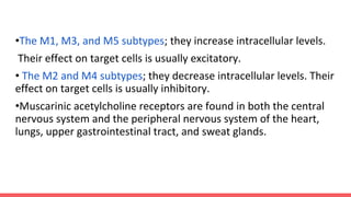 •The M1, M3, and M5 subtypes; they increase intracellular levels.
Their effect on target cells is usually excitatory.
• The M2 and M4 subtypes; they decrease intracellular levels. Their
effect on target cells is usually inhibitory.
•Muscarinic acetylcholine receptors are found in both the central
nervous system and the peripheral nervous system of the heart,
lungs, upper gastrointestinal tract, and sweat glands.
 