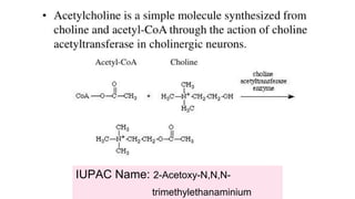 IUPAC Name: 2-Acetoxy-N,N,N-
trimethylethanaminium
 
