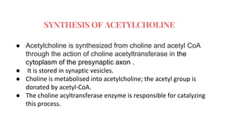 SYNTHESIS OF ACETYLCHOLINE
● Acetylcholine is synthesized from choline and acetyl CoA
through the action of choline acetyltransferase in the
cytoplasm of the presynaptic axon .
● It is stored in synaptic vesicles.
● Choline is metabolised into acetylcholine; the acetyl group is
donated by acetyl-CoA.
● The choline acyltransferase enzyme is responsible for catalyzing
this process.
 