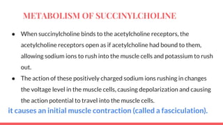 Acetylcholine and succinylcholine Slide 25