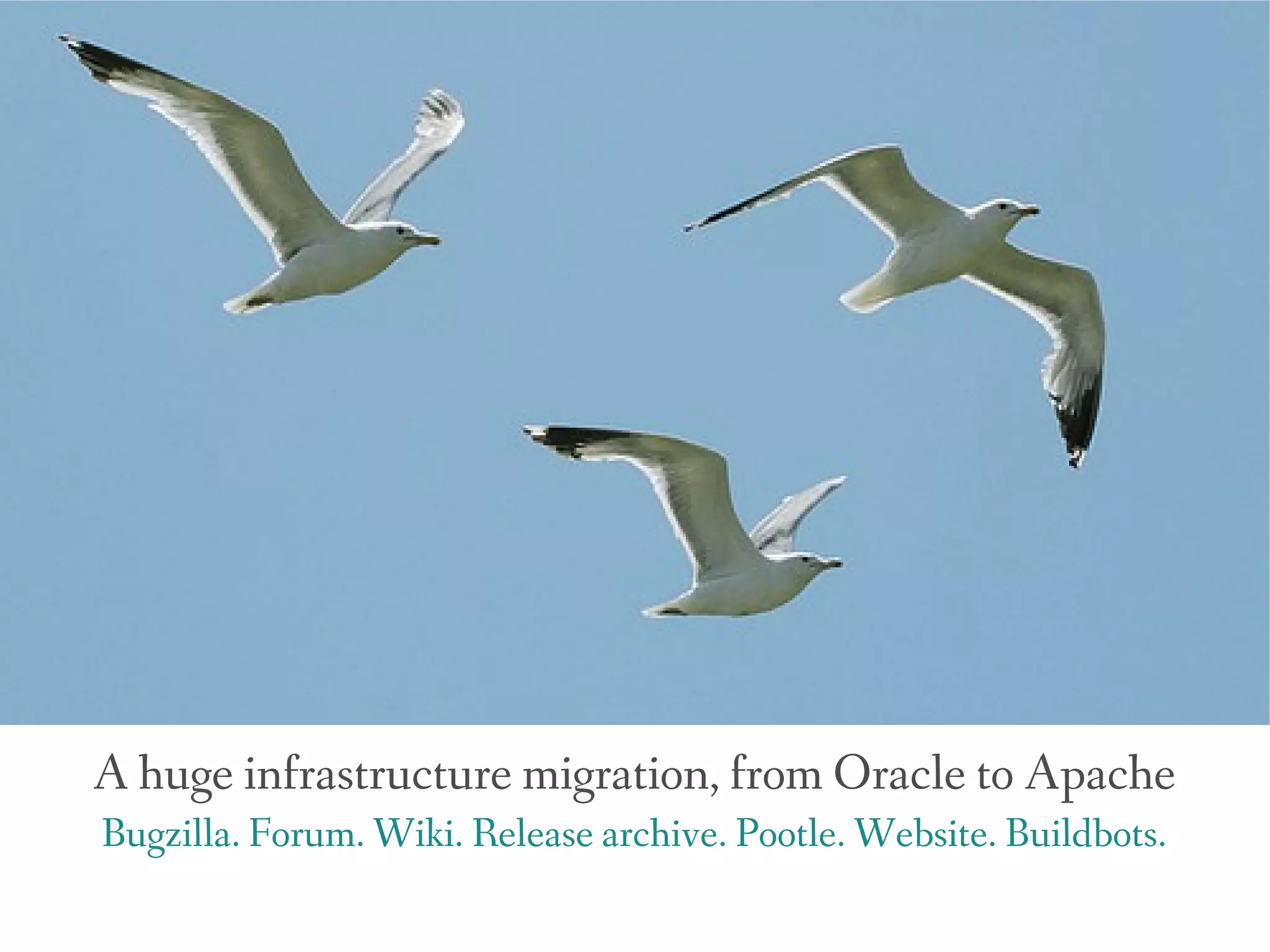 A huge infrastructure migration, from Oracle to Apache
Bugzilla. Forum. Wiki. Release archive. Pootle. Website. Buildbots.
 
