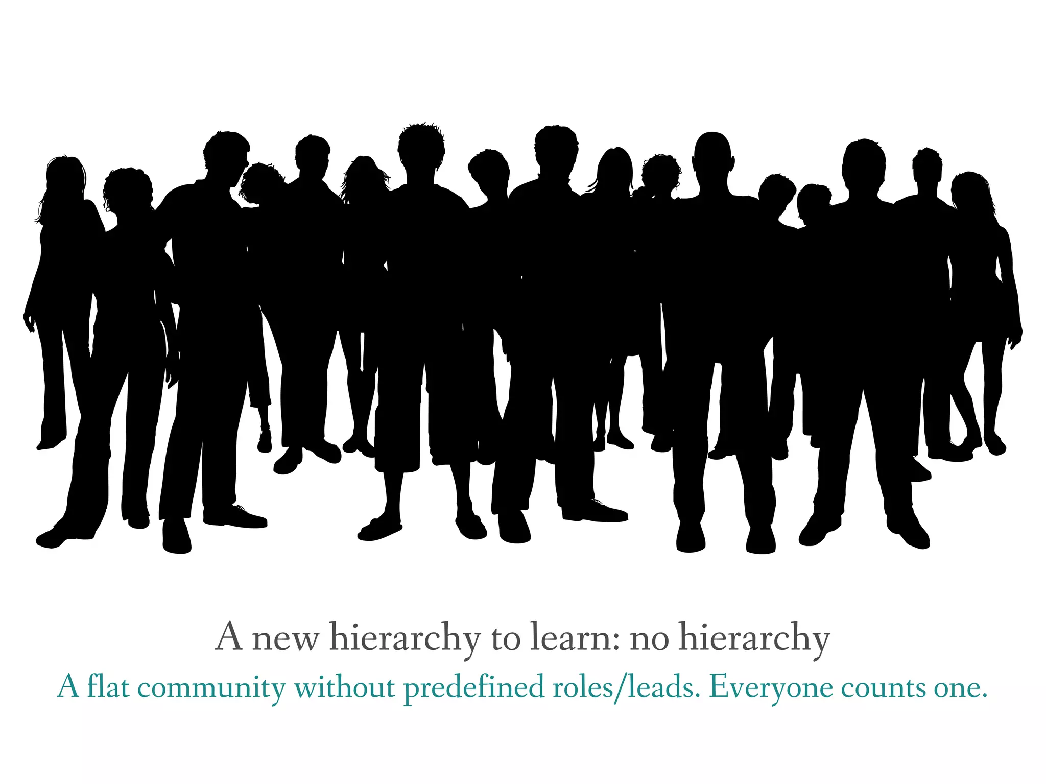 A new hierarchy to learn: no hierarchy
A flat community without predefined roles/leads. Everyone counts one.
 