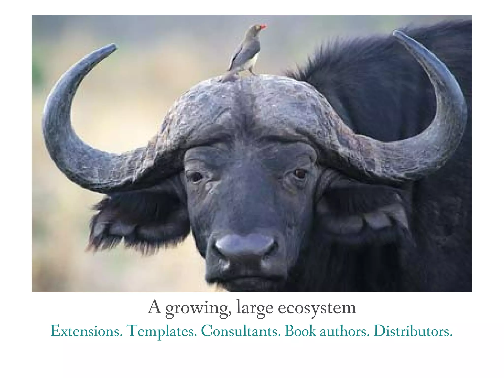 A growing, large ecosystem
Extensions. Templates. Consultants. Book authors. Distributors.
 