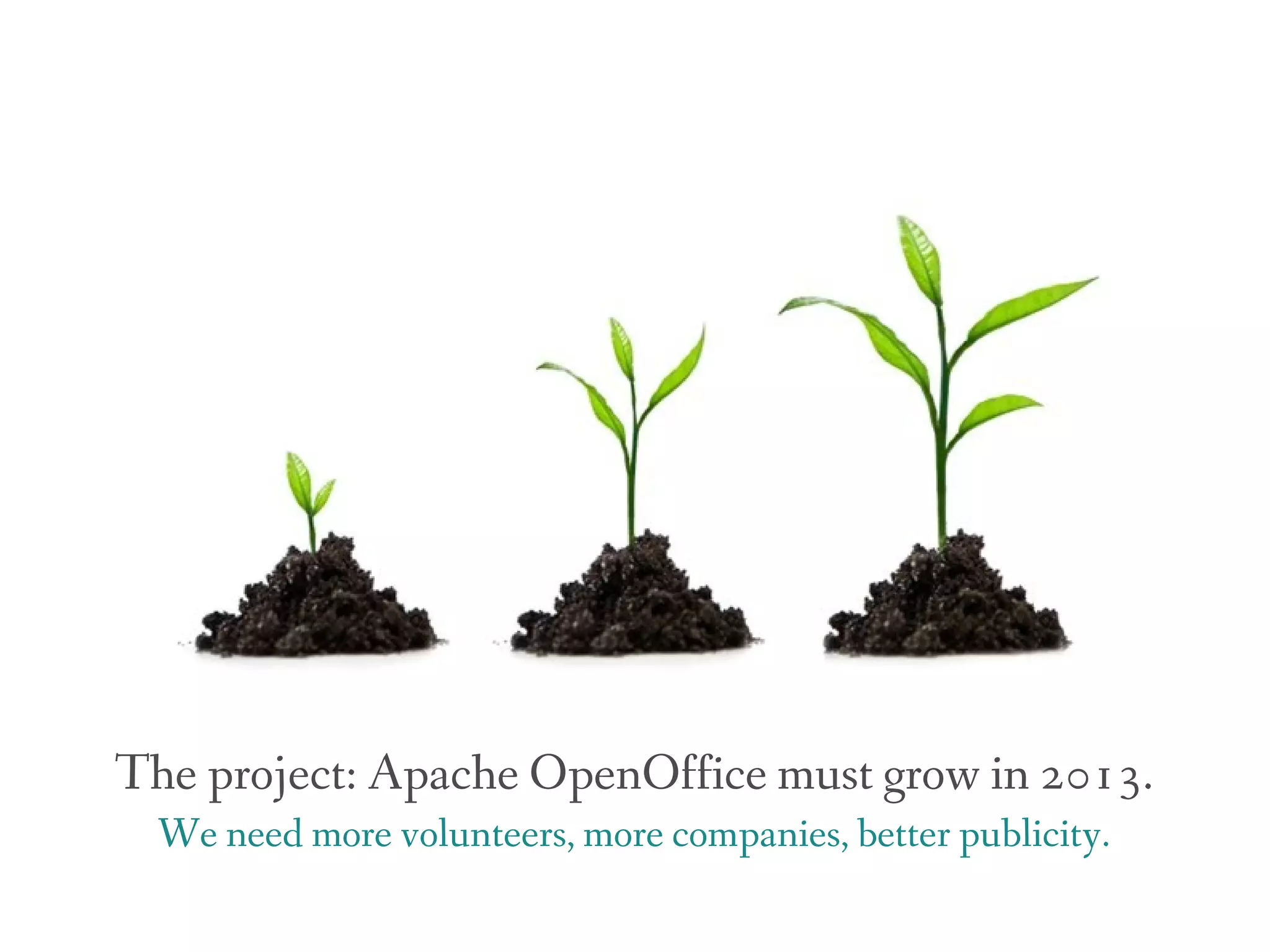 The project: Apache OpenOffice must grow in 2013.
  We need more volunteers, more companies, better publicity.
 