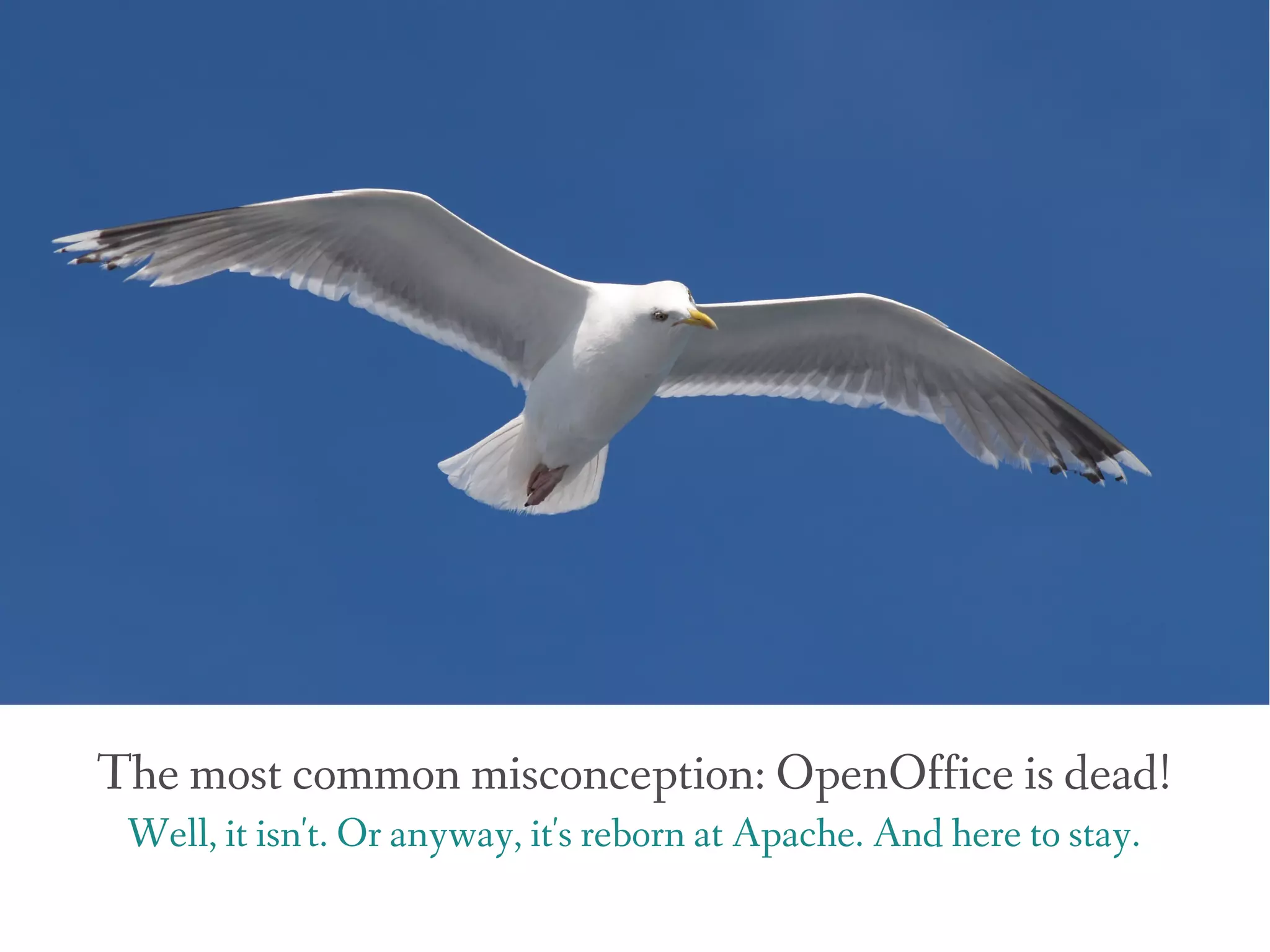 The most common misconception: OpenOffice is dead!
 Well, it isn't. Or anyway, it's reborn at Apache. And here to stay.
 