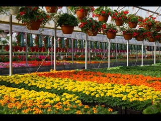 ApacheConEU Keynote: What is the value of the Apache Software Foundation