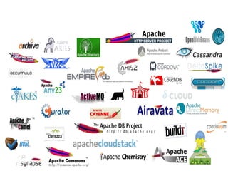 Our Projects 
Our Projects 
 