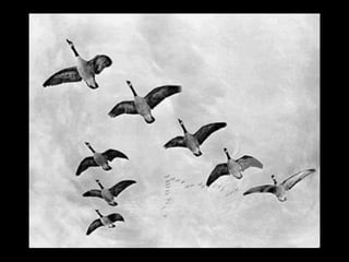 ApacheConEU Keynote: What is the value of the Apache Software Foundation