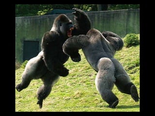 ApacheConEU Keynote: What is the value of the Apache Software Foundation