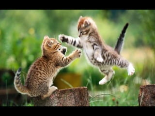 ApacheConEU Keynote: What is the value of the Apache Software Foundation