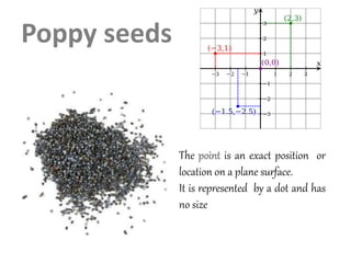 Poppy seeds
The point is an exact position or
location on a plane surface.
It is represented by a dot and has
no size
 