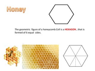 The geometric figure of a honeycomb Cell is a HEXAGON , that is
formed of 6 equal sides.
 