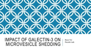 IMPACT OF GALECTIN-3 ON
MICROVESICLE SHEDDING
Rose Yin
Paszek Lab
 