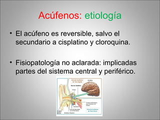 Acúfenos: etiología
• El acúfeno es reversible, salvo el
secundario a cisplatino y cloroquina.
• Fisiopatología no aclarada: implicadas
partes del sistema central y periférico.
 