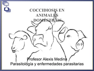 COCCIDIOSIS EN
ANIMALES
DOMÉSTICOS
Profesor Alexis Medina
Parasitología y enfermedades parasitarias
 