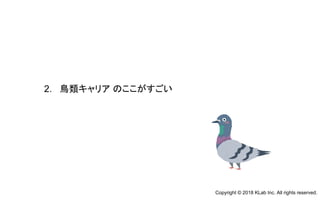 2. 鳥類キャリア のここがすごい
Copyright © 2018 KLab Inc. All rights reserved.
 