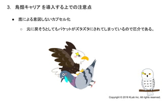 ● 鷹による意図しないカプセル化
○ 元に戻そうとしてもパケットがズタズタにされてしまっているので厄介である。
3. 鳥類キャリア を導入する上での注意点
　
Copyright © 2018 KLab Inc. All rights reserved.
 