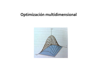 Optimización multidimensional
 