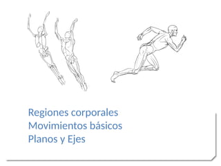 Regiones corporales
Movimientos básicos
Planos y Ejes
 