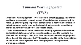 What are the tsunami warning levels