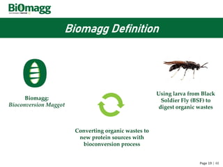 Biomagg budidaya magot SDGS masa depan penangan sampah | PDF