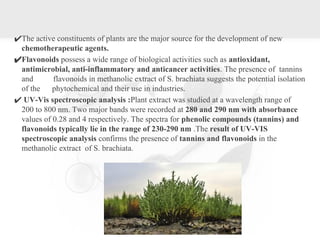 ✔The active constituents of plants are the major source for the development of new
chemotherapeutic agents.
✔Flavonoids possess a wide range of biological activities such as antioxidant,
antimicrobial, anti-inflammatory and anticancer activities. The presence of tannins
and flavonoids in methanolic extract of S. brachiata suggests the potential isolation
of the phytochemical and their use in industries.
✔ UV-Vis spectroscopic analysis :Plant extract was studied at a wavelength range of
200 to 800 nm. Two major bands were recorded at 280 and 290 nm with absorbance
values of 0.28 and 4 respectively. The spectra for phenolic compounds (tannins) and
flavonoids typically lie in the range of 230-290 nm .The result of UV-VIS
spectroscopic analysis confirms the presence of tannins and flavonoids in the
methanolic extract of S. brachiata.
 