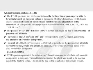 ❑Spectroscopic analysis- FT- IR:
✔ The FT-IR spectrum was performed to identify the functional groups present in S.
brachiata based on the peak values in the region of infrared radiation. FTIR studies
enable the identification of the chemical constituents and elucidation of the
structures of compounds .The major bands were observed at 3438.6, 1637.4, 1404 and
1319.59 cm-1 .
✔ The peak at 3448.4 cm-1
indicates the O-H stretch that might be due to the presence of
phenols and alcohols.
✔The bands at 1637.4 cm-1
and 1404 cm-1
corresponds to the C-C stretch, confirming
the presence of aromatic compounds.
✔The peak at 1319.59 cm-1
represents C-O stretch which shows the presence of alcohols,
carboxylic acids, esters and ethers. In addition, some weak absorption bands were
also recorded in the spectra.
CONCLUSION :
✔ FT-IR spectra represented the existence of phenolic compounds, alcohols and aromatic
compounds in the plant. The methanolic extract of the plant was found to be inactive
against the bacteria tested. This might be due to the selection of the solvent system.
 