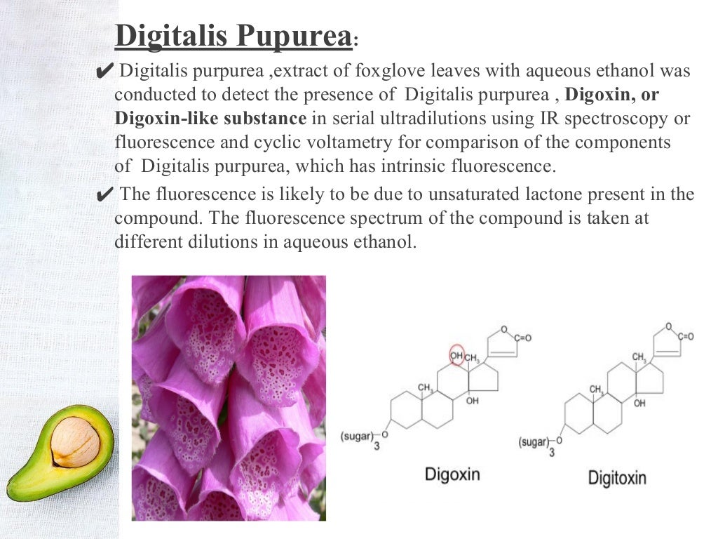 Spectroscopy in pharmacognosy