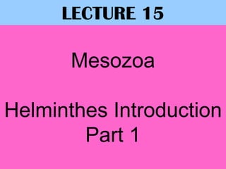 Mesozoa
Helminthes Introduction
Part 1
LECTURE 15
 